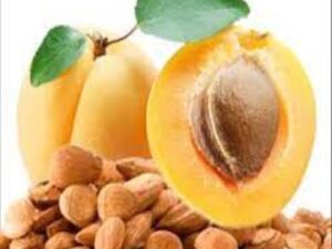 Sweet GB Apricot kernels (Giri)