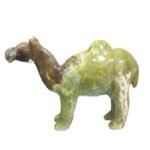 Zehar Mohra Camel Model