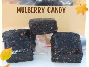 Mulberry Candy