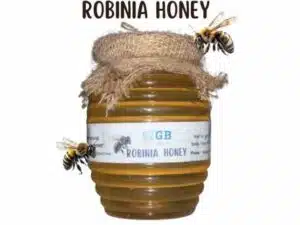 GB Pure Rubinia Honey