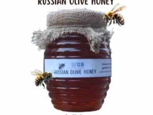 GB Pure Russian Olive Honey