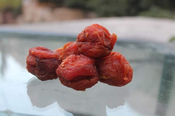 Gilgit-Baltistan Special Multilayer dried Apricot