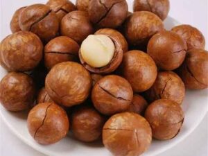 macadamia nuts with shell