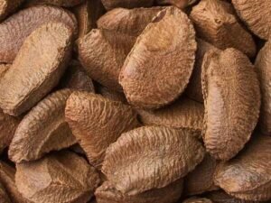 Brazil Nuts
