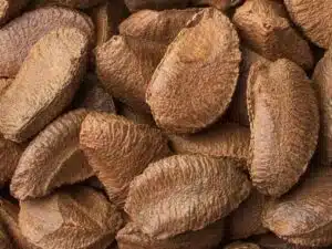 Brazil Nuts